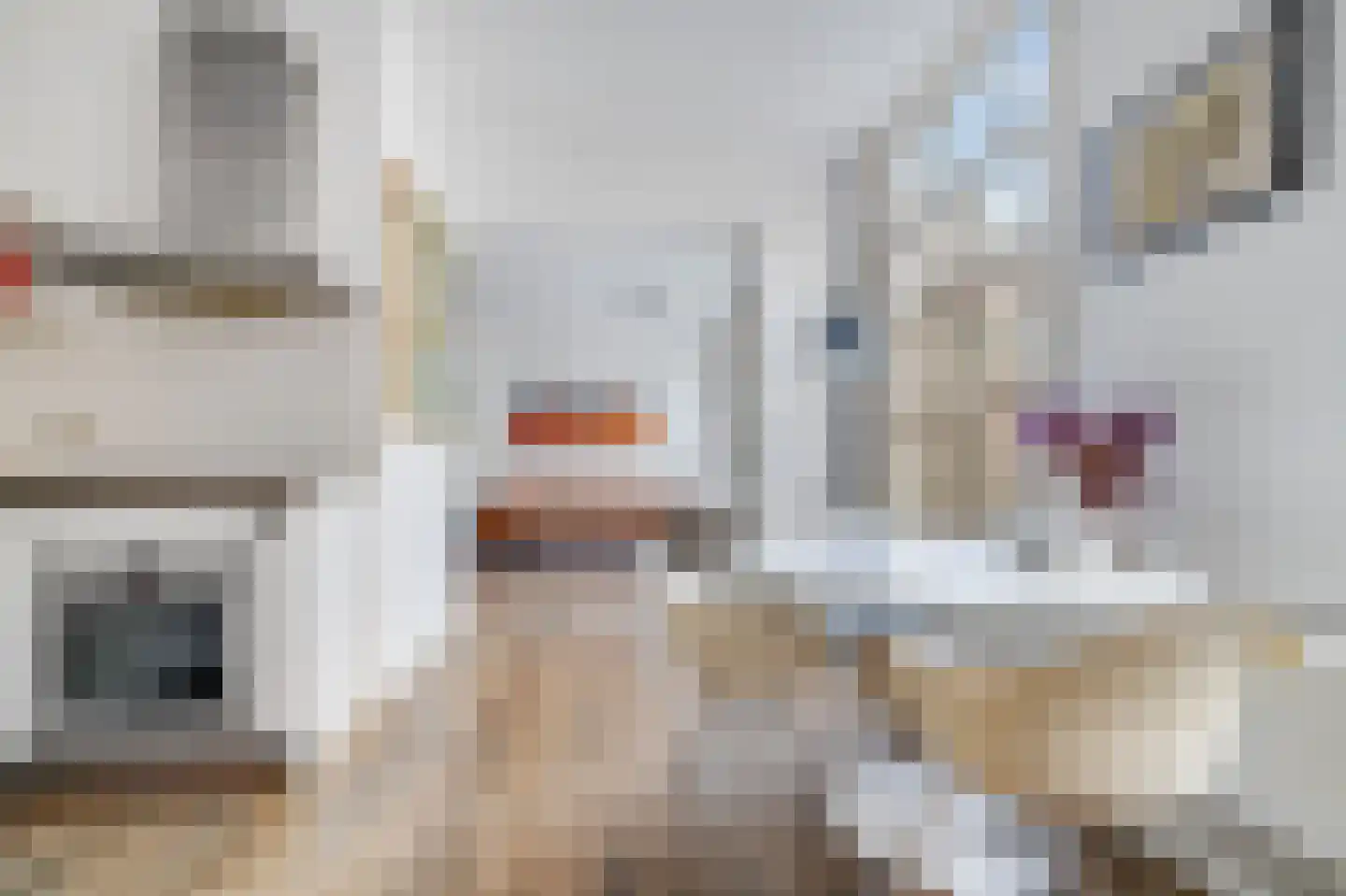 Monnikenstraat 6 Amsterdam thumbnail 5