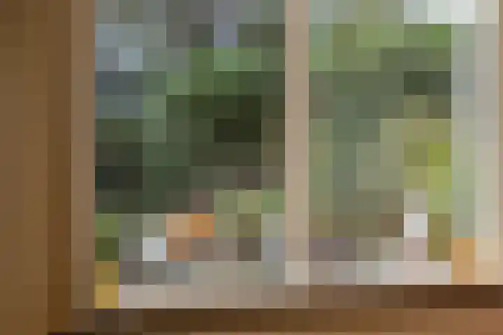 Monnikenweerd 3 Oosterbeek thumbnail 16