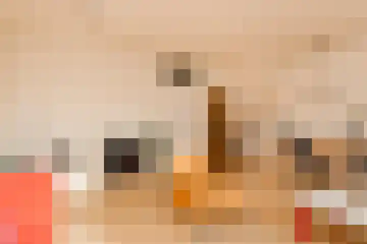 Monnikenweerd 3 Oosterbeek thumbnail 18