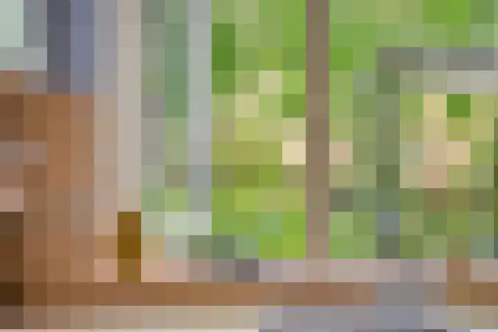 Monnikenweerd 3 Oosterbeek thumbnail 23