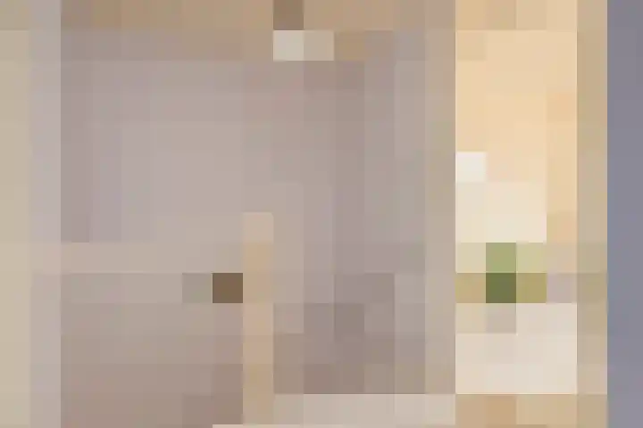 Monnikenweerd 3 Oosterbeek thumbnail 37