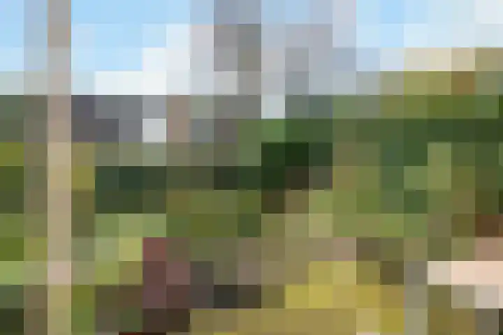 Monnikenweerd 3 Oosterbeek thumbnail 39