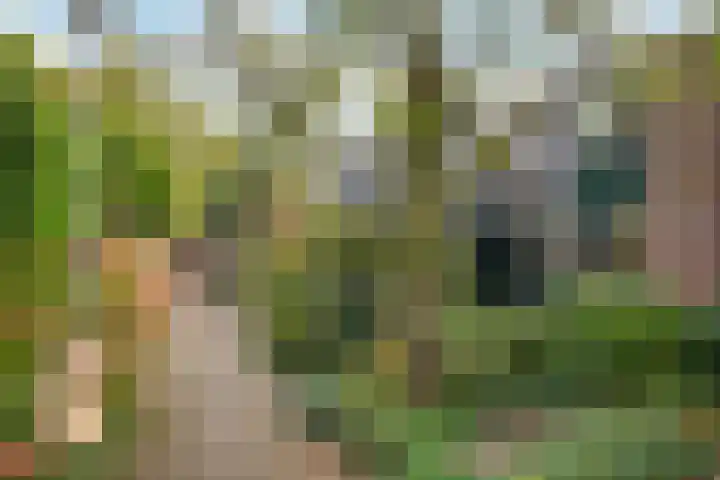 Monnikenweerd 3 Oosterbeek thumbnail 4