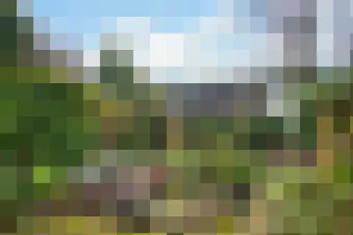Monnikenweerd 3 Oosterbeek thumbnail 42
