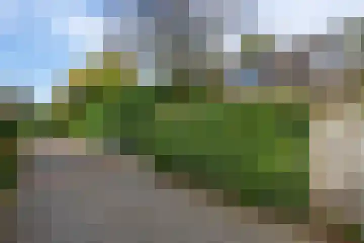 Monnikenweerd 3 Oosterbeek thumbnail 44