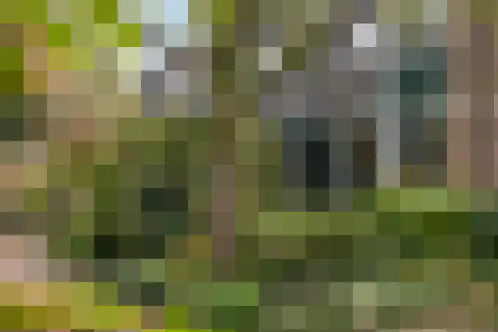 Monnikenweerd 3 Oosterbeek thumbnail 5