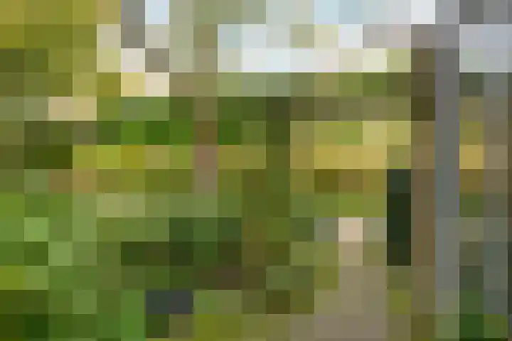 Monnikenweerd 3 Oosterbeek thumbnail 7