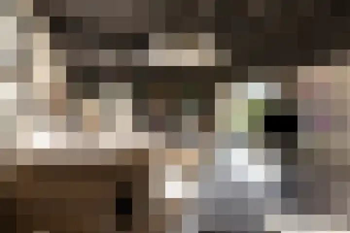 Monnikenweg 10 Best thumbnail 11