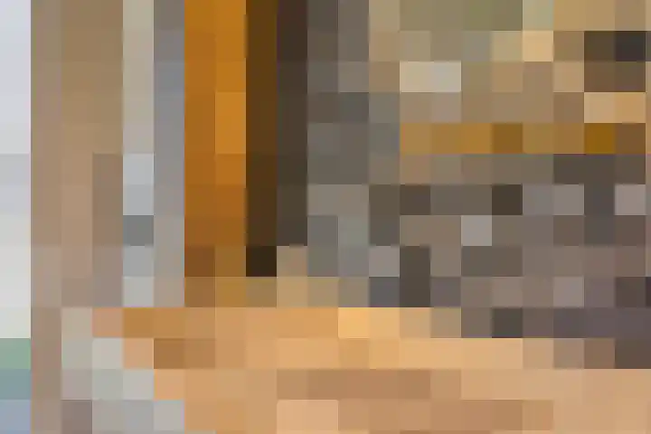 Monnikenweg 10 Best thumbnail 18