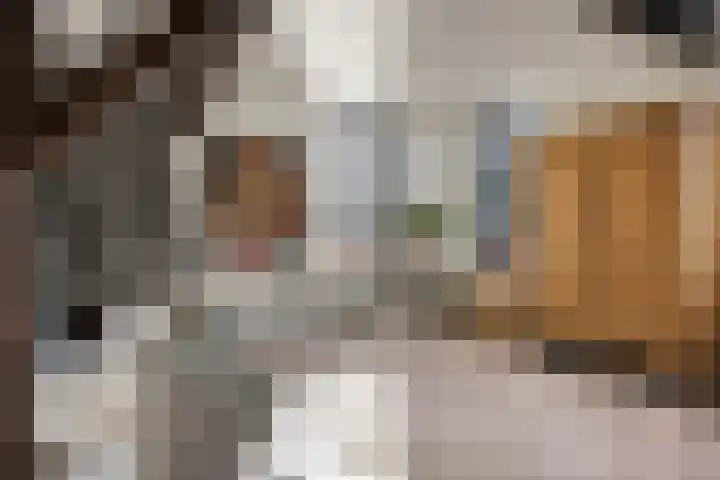 Monnikenweg 10 Best thumbnail 25