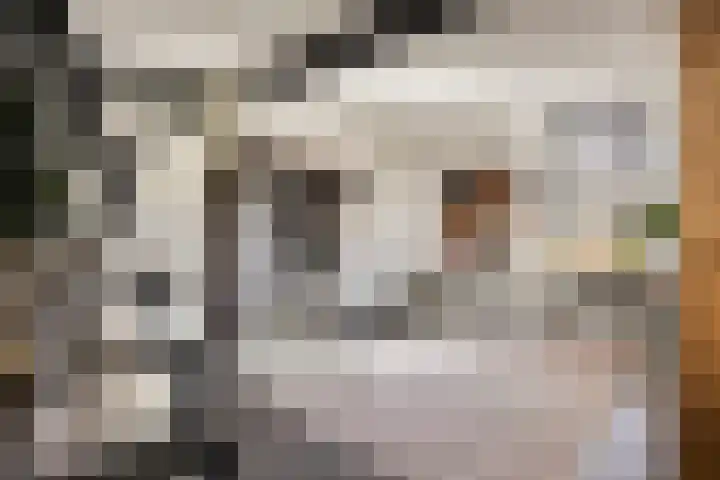 Monnikenweg 10 Best thumbnail 26