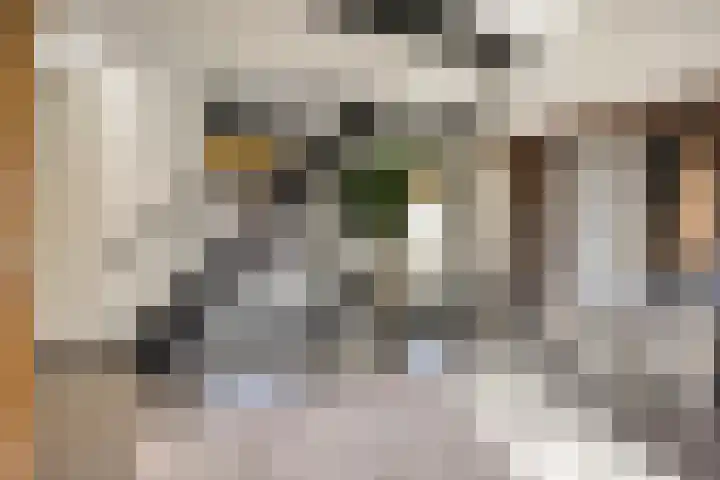 Monnikenweg 10 Best thumbnail 27