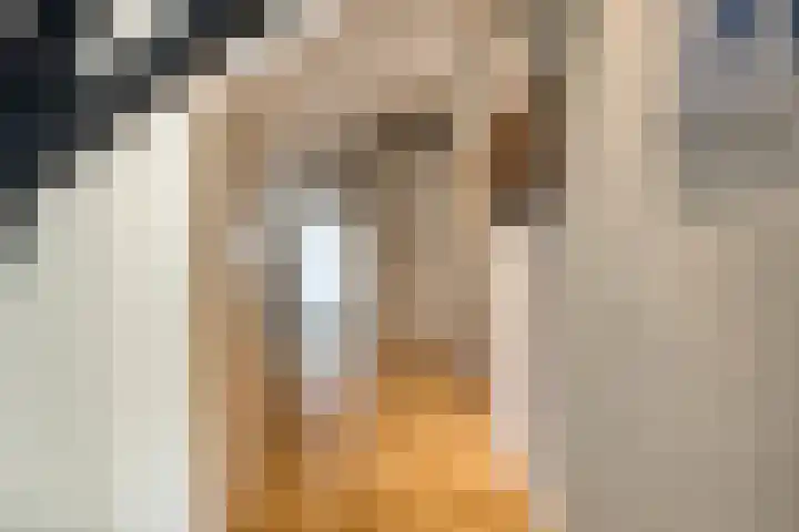 Monnikenweg 10 Best thumbnail 28
