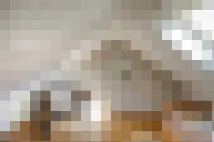 Monnikenweg 10 Best thumbnail 35