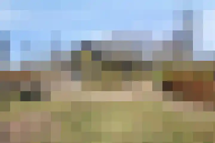 Monnikenweg 10 Best thumbnail 47