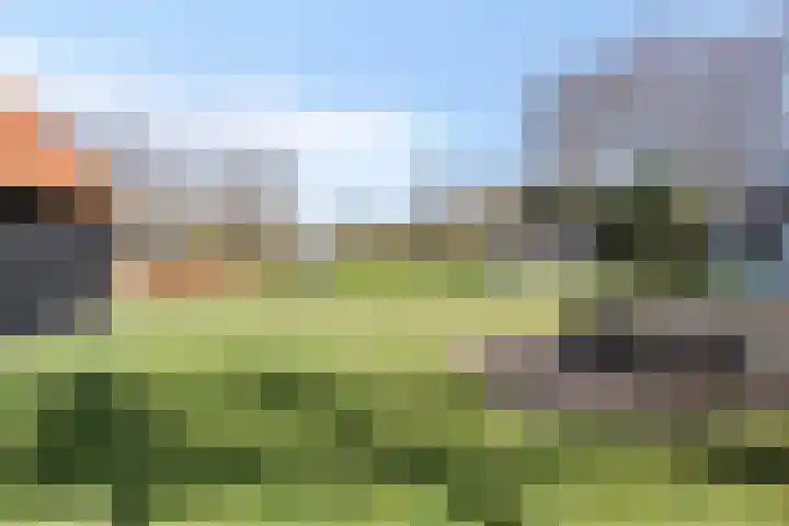 Monnikenweg 10 Best thumbnail 50