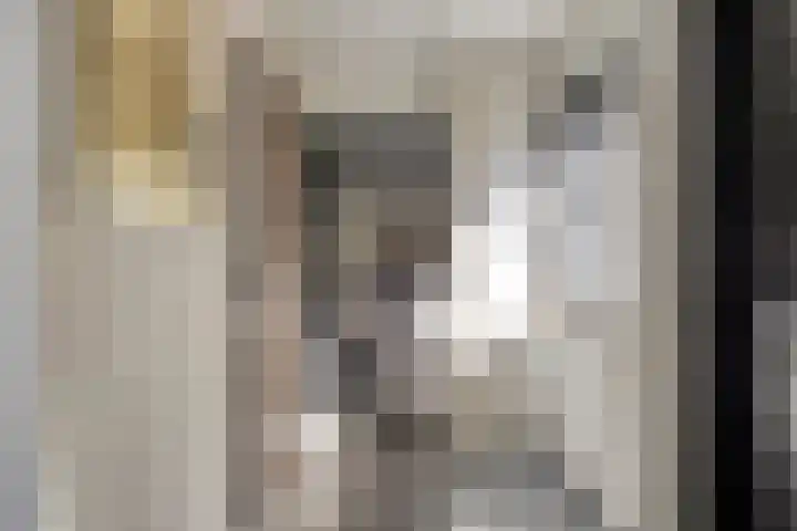 Monnikenweg 10 Best thumbnail 6