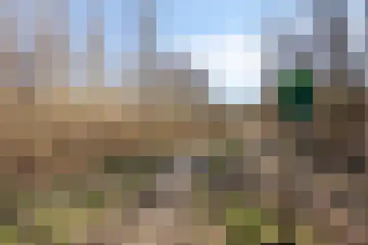 Monnikenweg 10 Best thumbnail 64