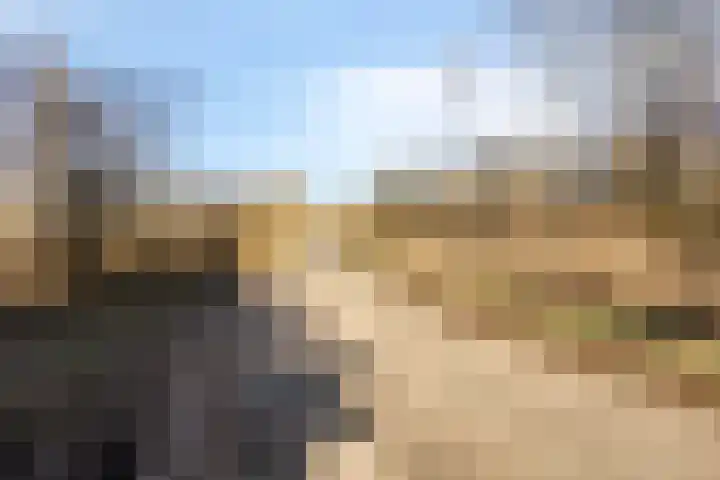 Monnikenweg 10 Best thumbnail 65