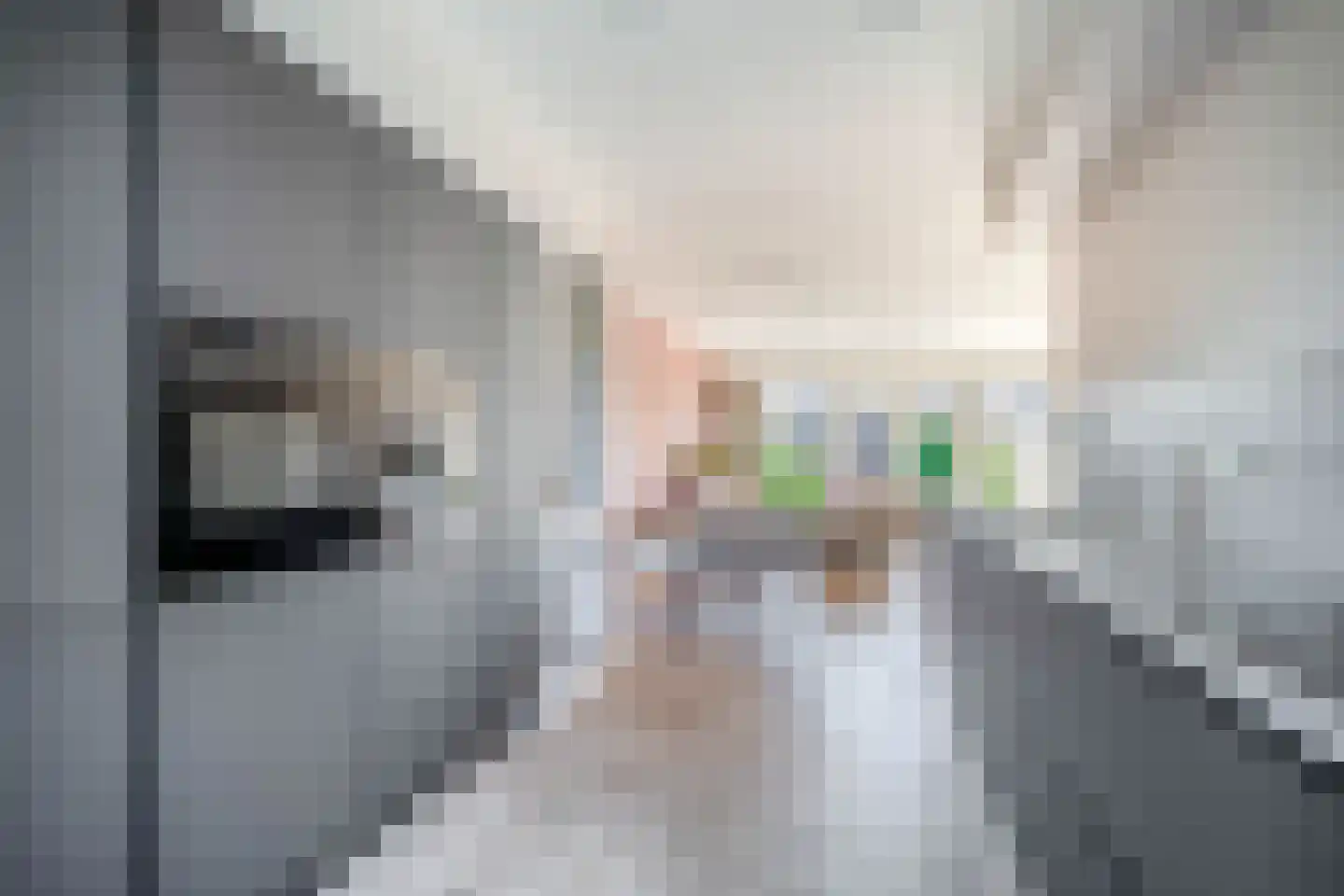 Monnikenweg 22 Pijnacker thumbnail 11