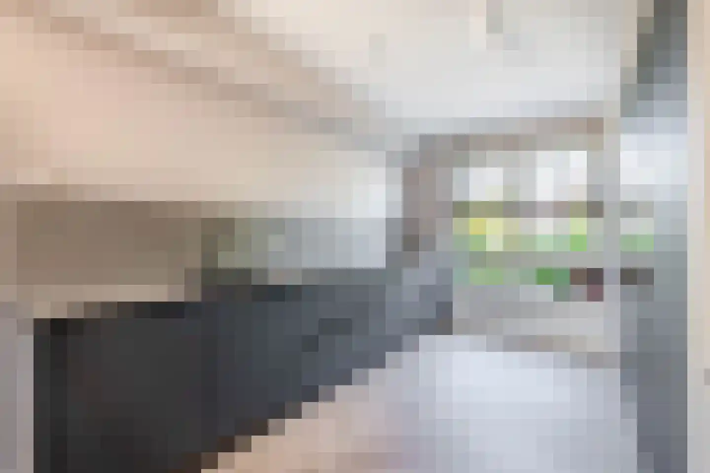 Monnikenweg 22 Pijnacker thumbnail 12