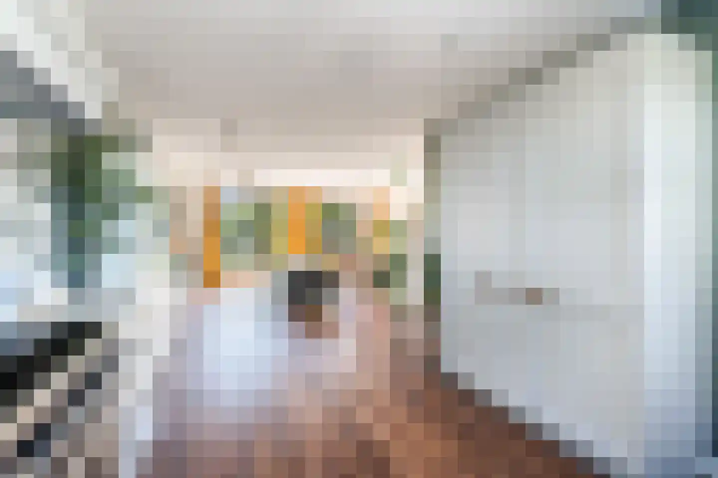 Monnikenweg 60 Pijnacker thumbnail 12