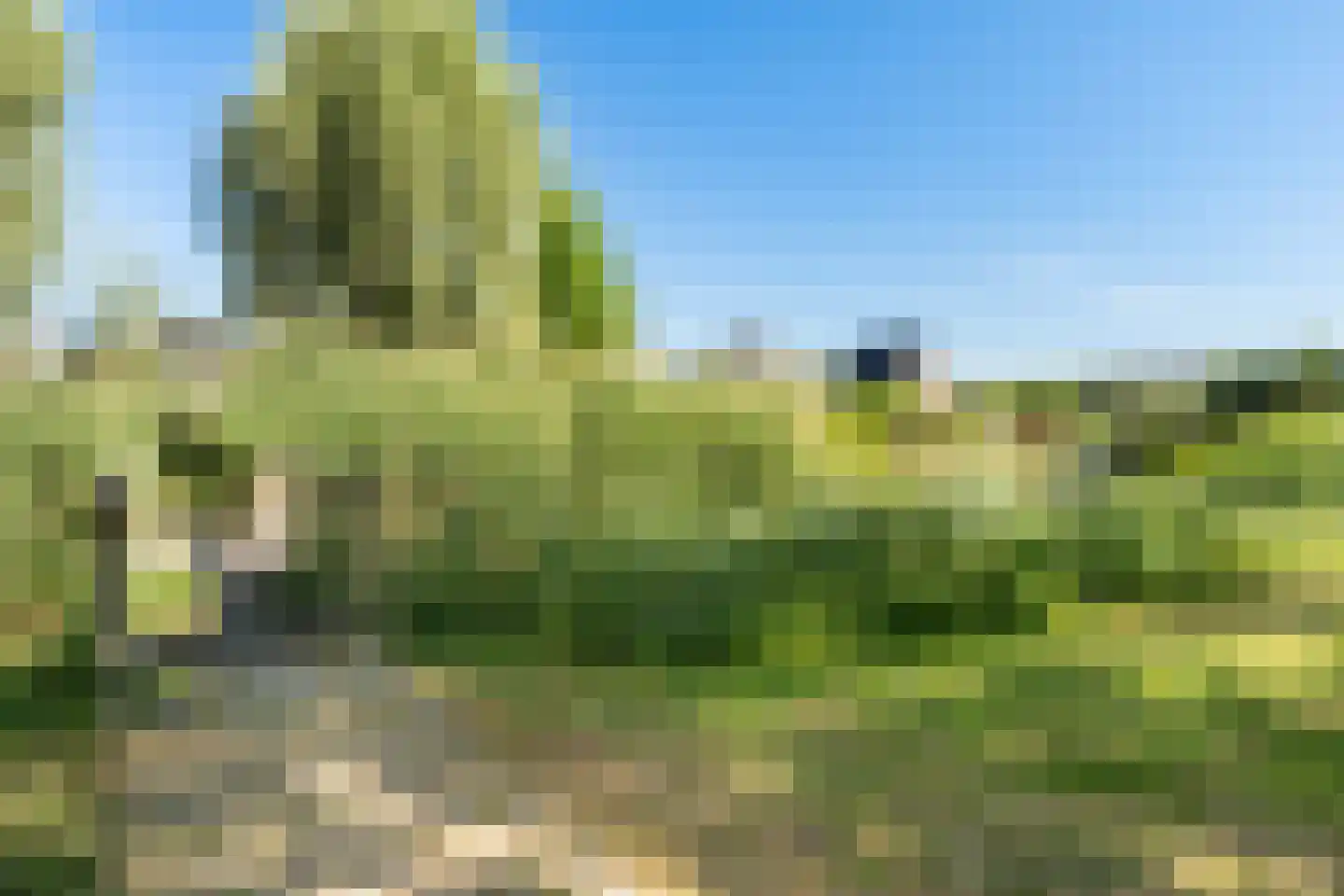 Monnikenweg 60 Pijnacker thumbnail 34