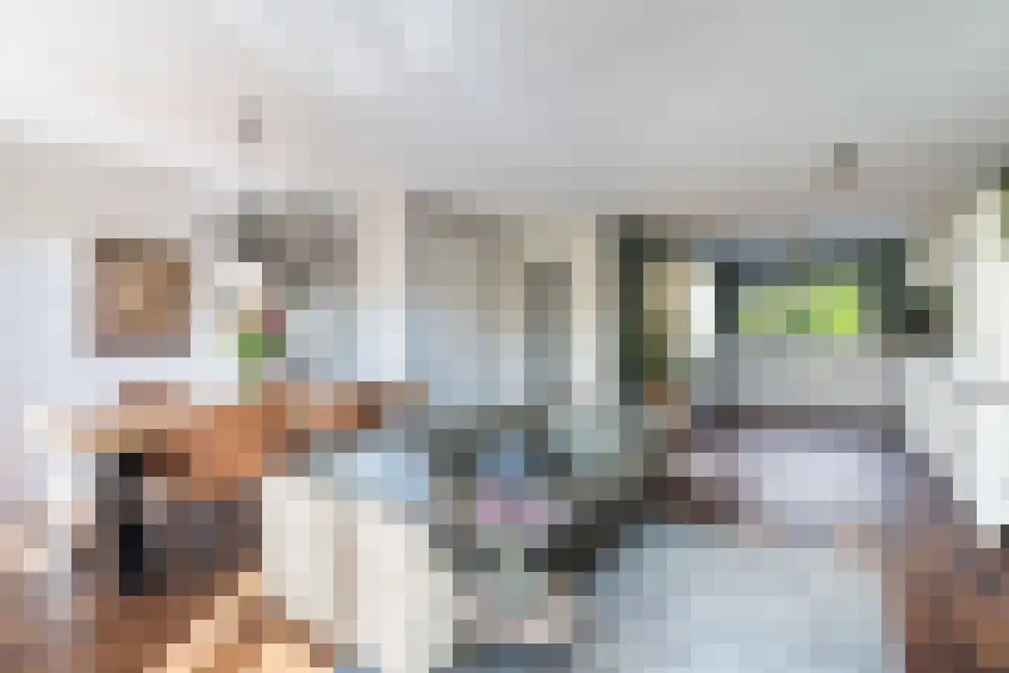 Monnikenweg 60 Pijnacker thumbnail 9