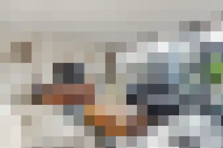 Monnikeraklaan 17 Utrecht thumbnail 12
