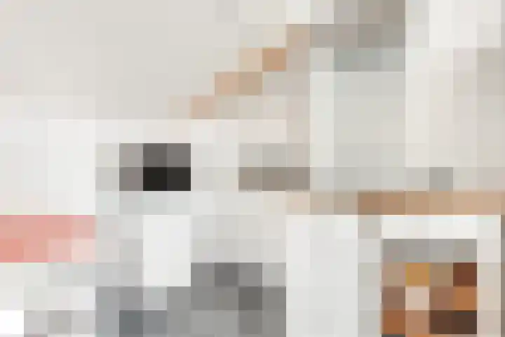 Monnikeraklaan 17 Utrecht thumbnail 38