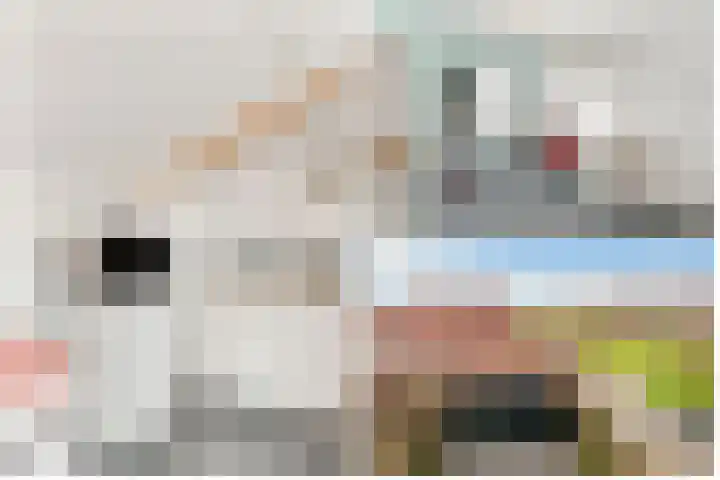 Monnikeraklaan 17 Utrecht thumbnail 43