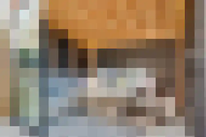 Monnikeraklaan 17 Utrecht thumbnail 47