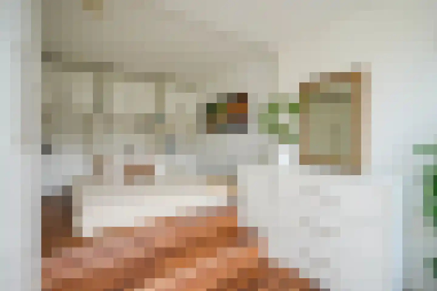 Monnikeraklaan 34 Utrecht thumbnail 15