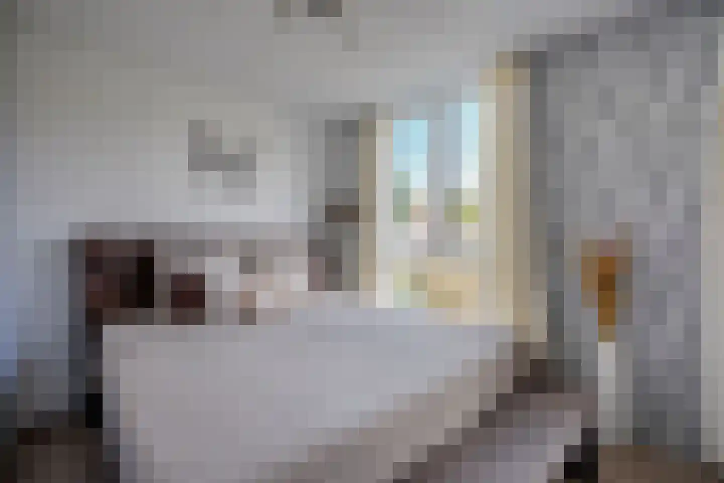 Monnikeraklaan 34 Utrecht thumbnail 19