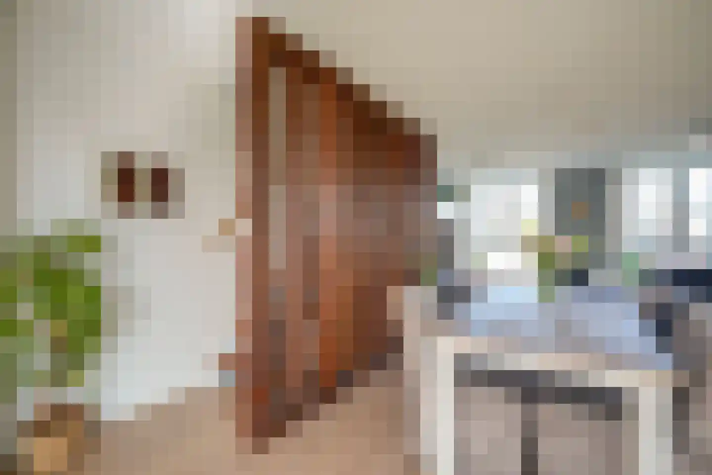 Monnikeraklaan 34 Utrecht thumbnail 38