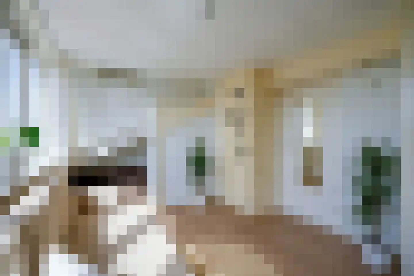 Monnikeraklaan 34 Utrecht thumbnail 50