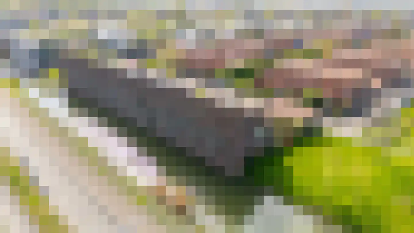 Monnikeraklaan 34 Utrecht thumbnail 64