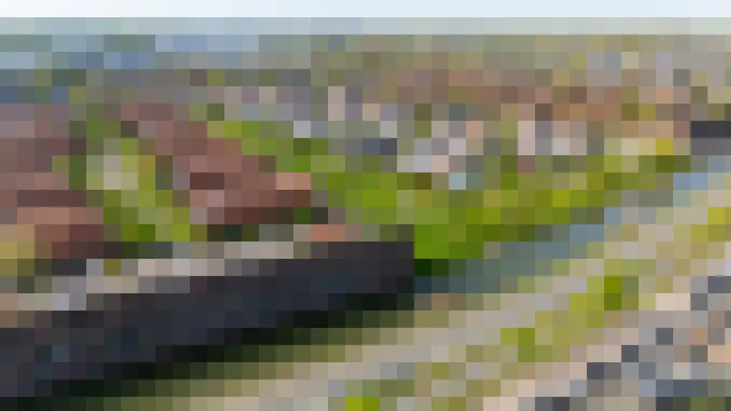 Monnikeraklaan 34 Utrecht thumbnail 65