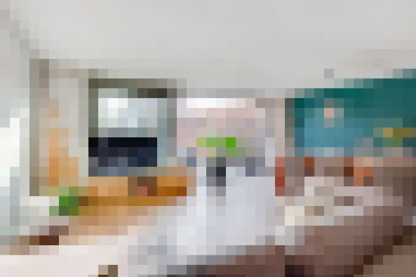 Monnikeraklaan 8 Utrecht thumbnail 10
