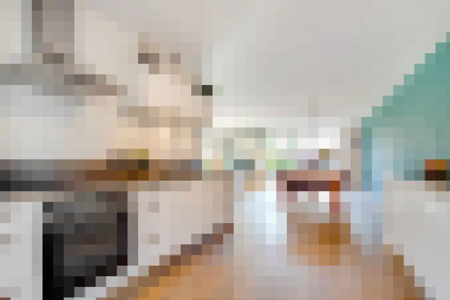 Monnikeraklaan 8 Utrecht thumbnail 13