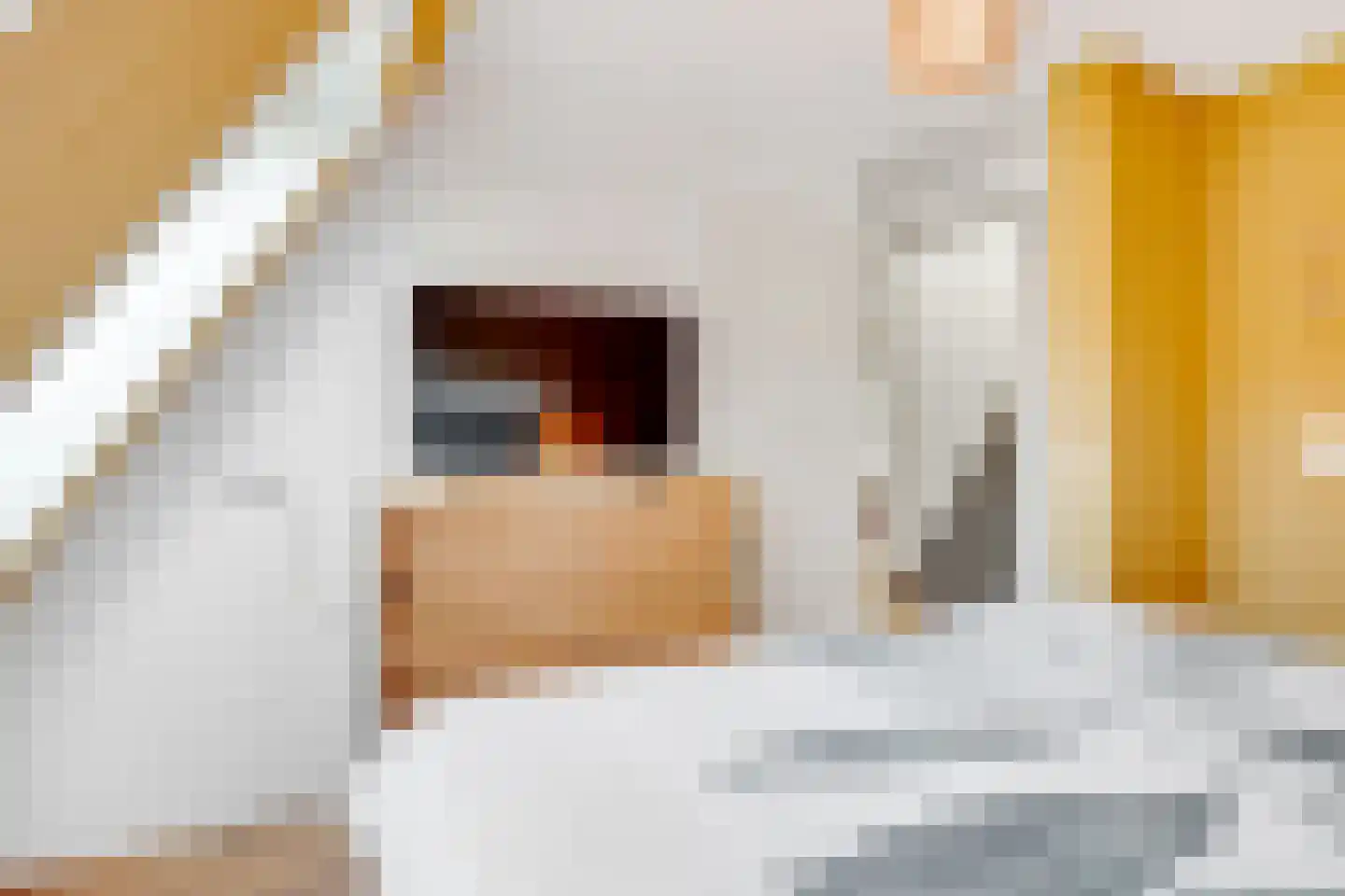 Monnikeraklaan 8 Utrecht thumbnail 27