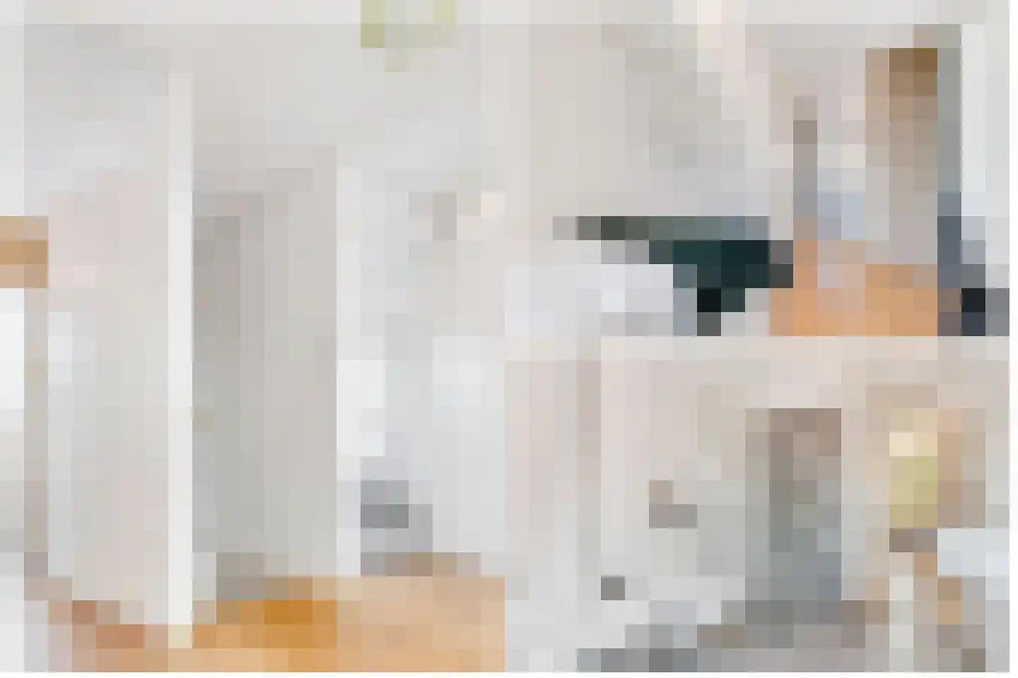 Monnikeraklaan 8 Utrecht thumbnail 32
