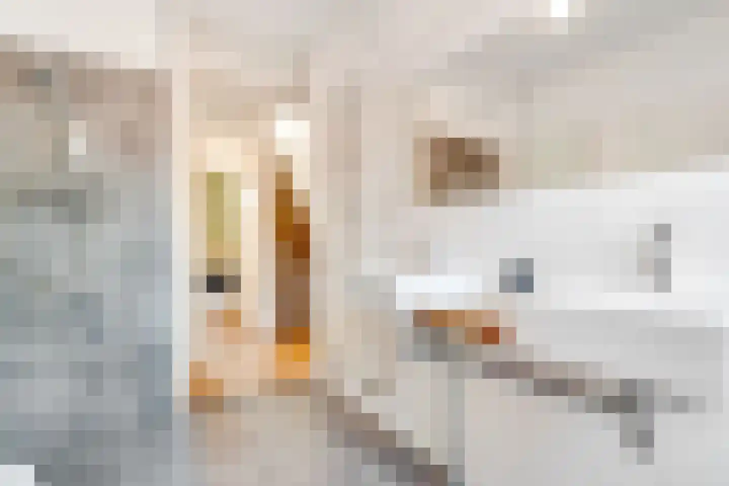 Monnikeraklaan 8 Utrecht thumbnail 34