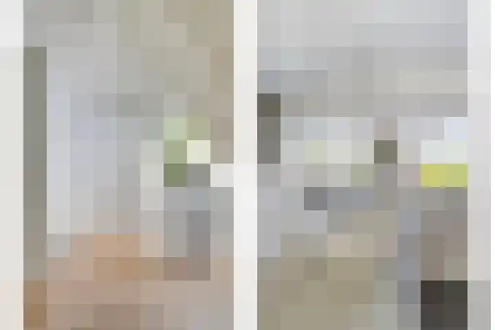 Monnikevenne 1 Monnickendam thumbnail 14