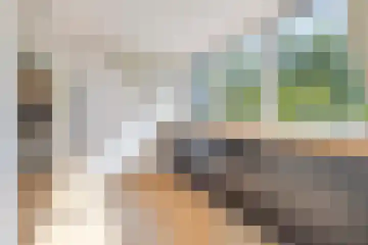 Monnikevenne 1 Monnickendam thumbnail 18