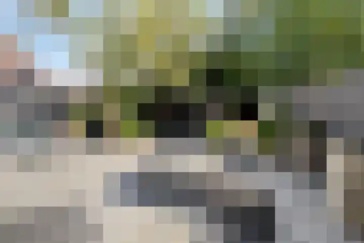 Monnikevenne 1 Monnickendam thumbnail 23