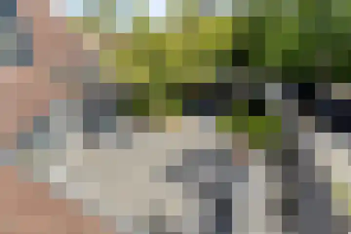 Monnikevenne 1 Monnickendam thumbnail 26