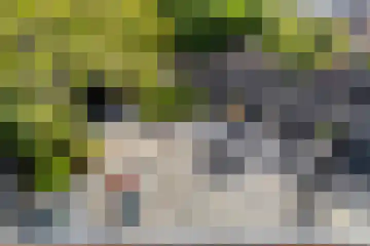 Monnikevenne 1 Monnickendam thumbnail 27
