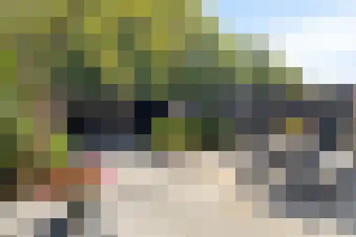 Monnikevenne 1 Monnickendam thumbnail 5