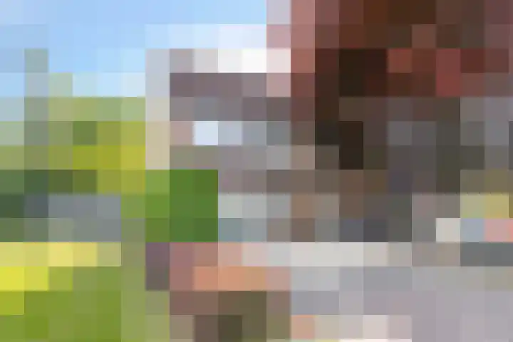 Monnikevenne 1 Monnickendam thumbnail 7